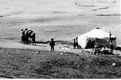 Camp de nomades